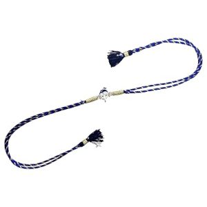 Rajasthan Gems Raksha Bandhan Rakhi Ganesha Ganesh 925 Sterling Silver Charm Bracelet Bhai Handmade Enamel Meena Meenakari Gift Men Boy Brother (Random Colour Thread) RAKHI007