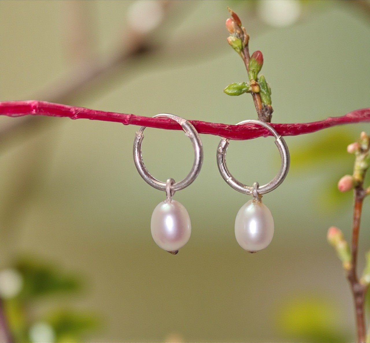 WhatsApp Image 2025-11-28 at 5.42.04 PM